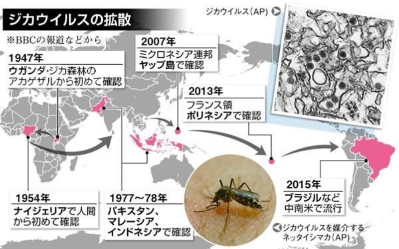 ヤブ蚊などによるジカ熱の感染