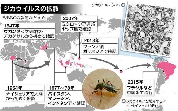 ヤブ蚊などによるジカ熱の感染