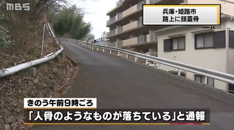 兵庫県姫路市にある山林脇の道路に人間の頭蓋骨が転がり落ちる
