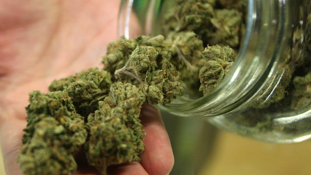 専門家が警鐘を鳴らす大麻は幻覚や幻聴を起こす覚醒剤と同じ薬物の認識