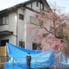 東京都杉並区の住宅で台所の収納ボックスの中に隠された女性刺殺遺体の犯人逮捕