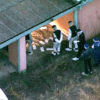 愛知県豊山町豊場の廃業ホテル内で複数の刺し傷がある男性遺体