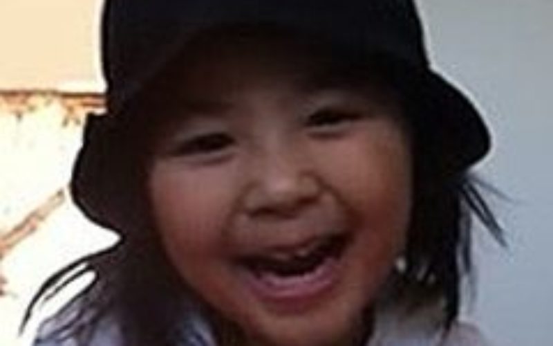 千葉県我孫子市で登校途中に誘拐された女児殺害事件