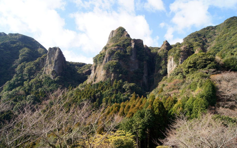佐賀県武雄市の山林にある雑木林で白骨遺体