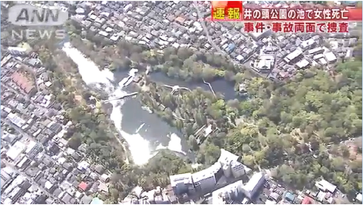 東京都三鷹市にある井の頭公園の池で女性の遺体