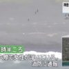 神奈川県平塚市の海岸で両足が切断された女性の遺体遺棄事件