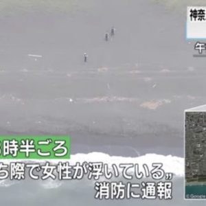 神奈川県平塚市の海岸で両足が切断された女性の遺体遺棄事件