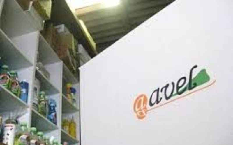 熊本県内の企業でペット用通信販売会社のアヴェルが破産申請