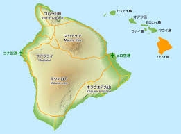 ハワイ島で日本人の芸術家が殺害された遺体
