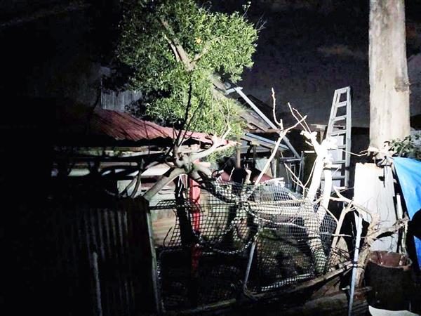 埼玉県深谷市にある借家の敷地にシートに包まれた白骨化した3遺体