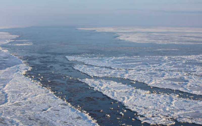 南極大陸で最高気温が20度を超える現象が起き地球温暖化の異常気象