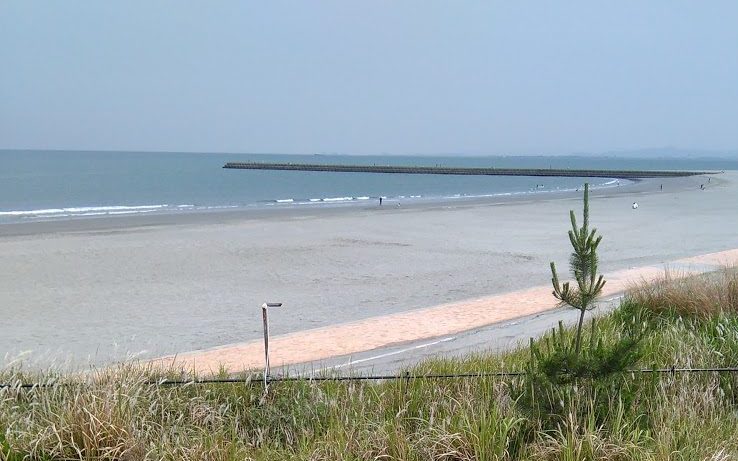 徳島市河内町の小松海岸沖合で発見された男性の遺体の死因は溺死