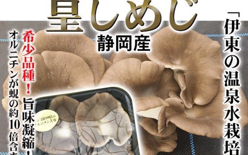 静岡県伊東市にあるキノコ栽培の石井農園が5億4000万円の負債で倒産