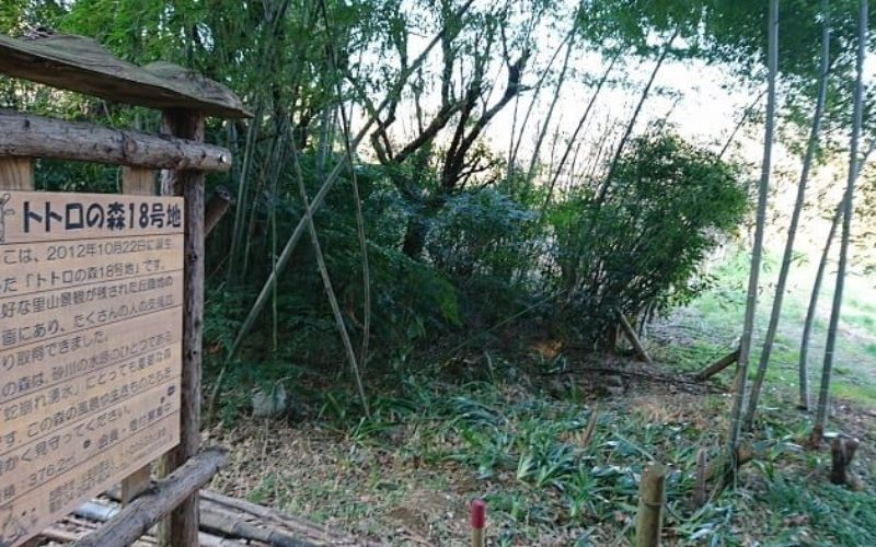 埼玉県所沢市上山口の雑木林に死後数年が経過している不明な人骨？