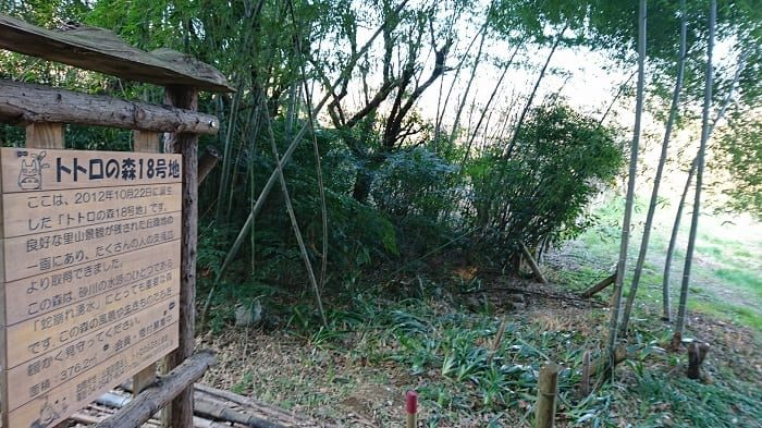 埼玉県所沢市上山口の雑木林に死後数年が経過している不明な人骨？