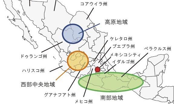 メキシコ西部ハリスコ州で麻薬に絡む抗争か?廃屋に14人の遺体