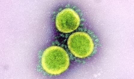 香港で新型コロナウイルスに感染した患者が回復後に新たに異なるウイルスに感染