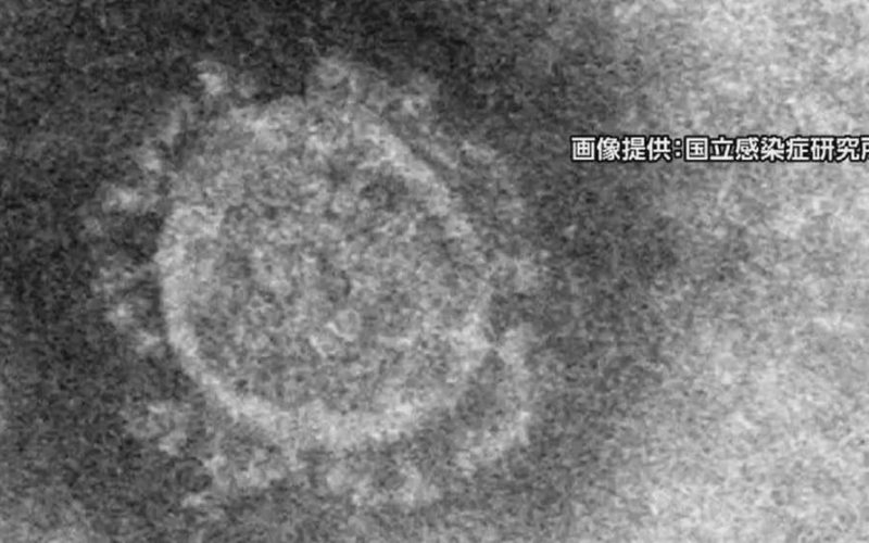 香港で新型コロナウイルスに感染した患者が回復後に新たに異なるウイルスに感染