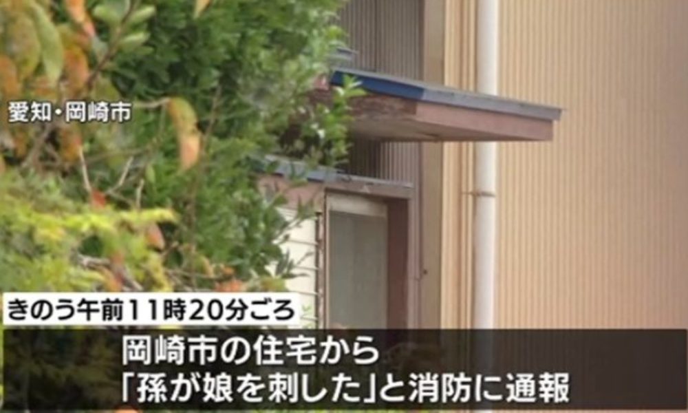 愛知県岡崎市の住宅で女性が殺害され甥の高1男子が自殺