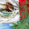 メキシコで大麻の合法化に向けて議論され賛成多数で法案を可決