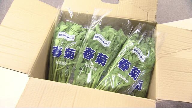 福岡市のJAくるめが出荷した春菊から基準値の180倍の農薬
