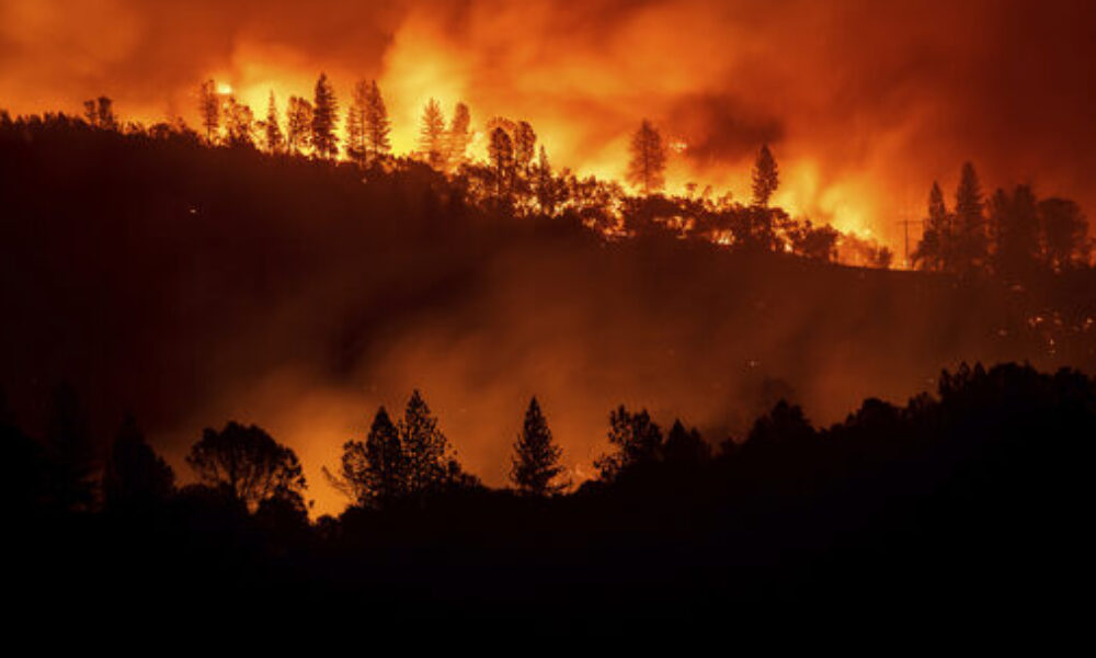 米国カリフォルニア州で発生した森林火災は女性殺害を隠蔽する為の放火