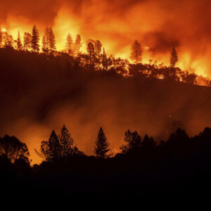 米国カリフォルニア州で発生した森林火災は女性殺害を隠蔽する為の放火