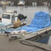 愛知県田原市の海岸で男性が殺害されている事件で知人の5人を逮捕