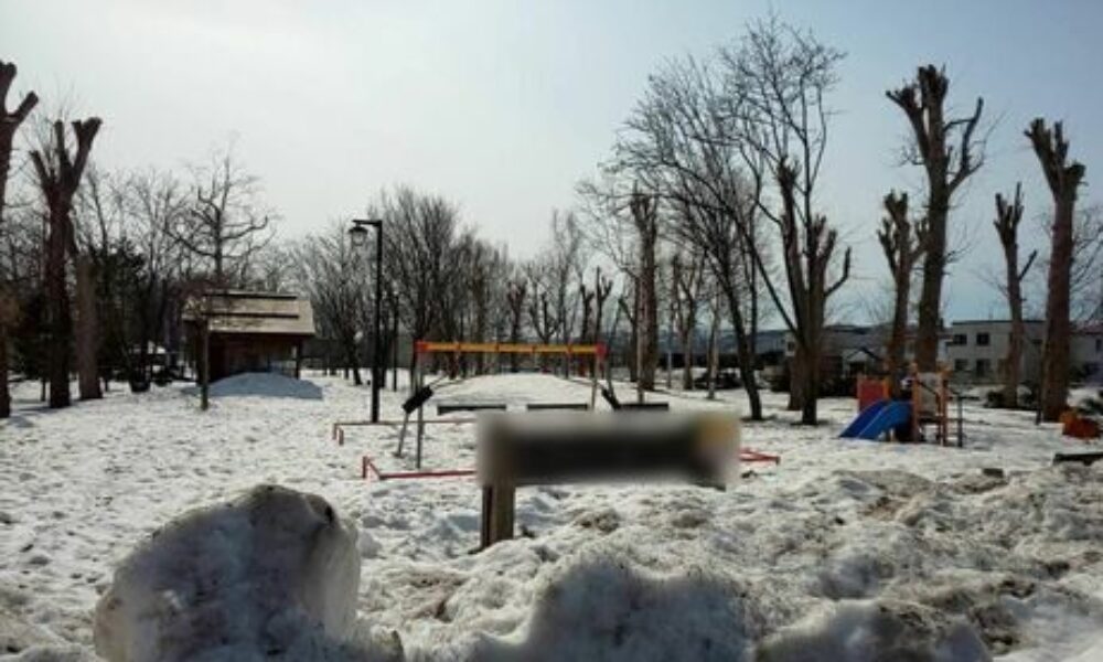 北海道旭川市内に住む中学二年生の女子生徒が公園で凍死