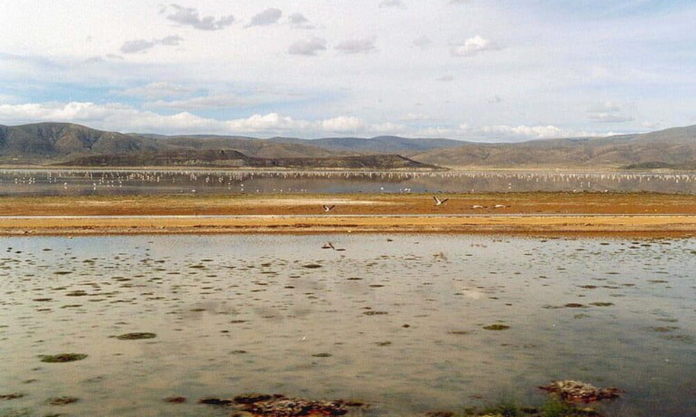 ボリビアの高地にある湖が忽然と姿を消し塩の結晶が湖底に残された光景