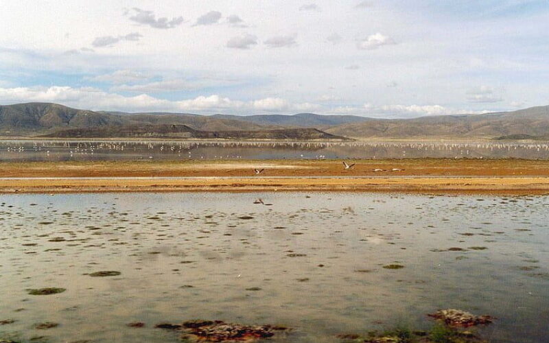 ボリビアの高地にある湖が忽然と姿を消し塩の結晶が湖底に残された光景