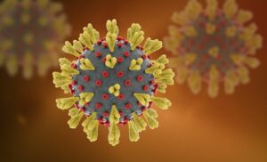 南アフリカで新型コロナウイルスの新変異体が発見され感染リスクを調査中