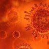 南アフリカで新型コロナウイルスの新変異体が発見され感染リスクを調査中