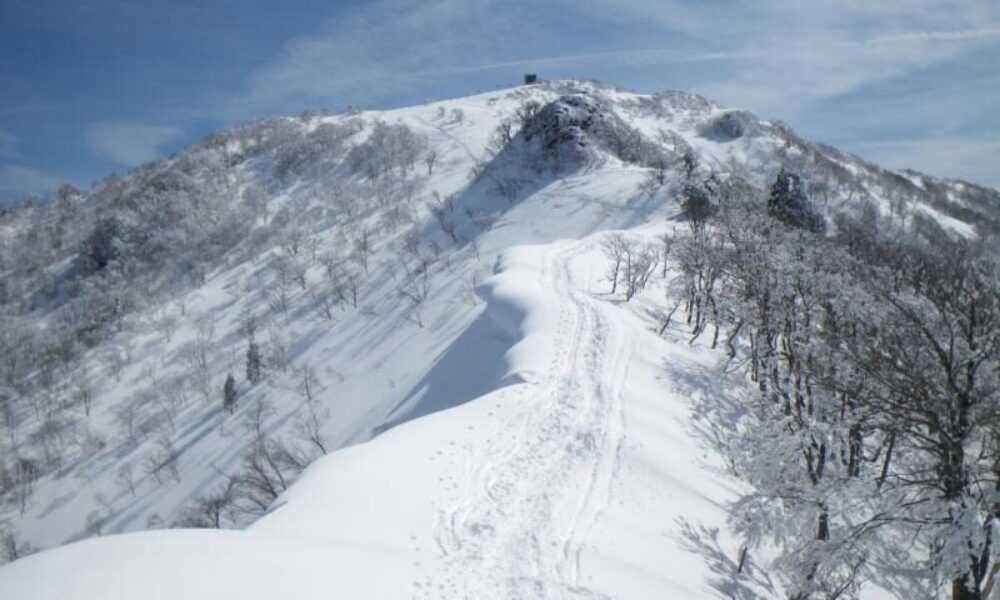 兵庫県宍粟市にある氷ノ山に入山したパーティー5人が遭難