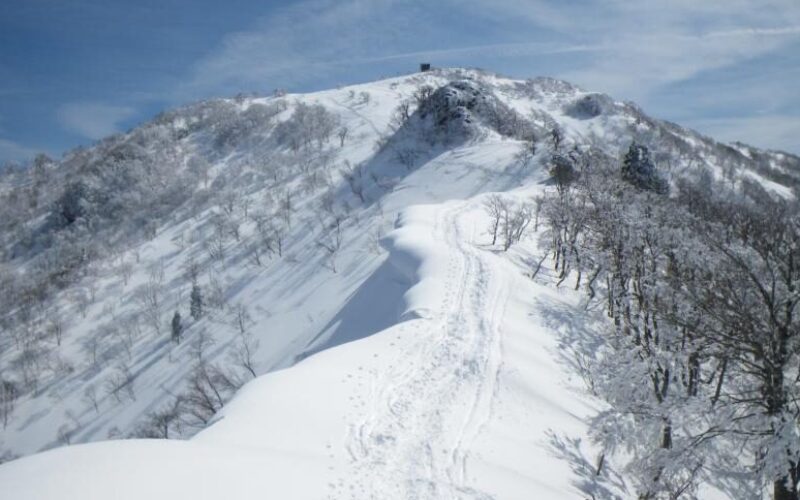 兵庫県宍粟市にある氷ノ山に入山したパーティー5人が遭難