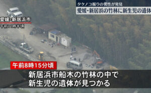 愛媛県新居浜市の雑木林に生後間もない男の子が捨てられ死亡した遺体