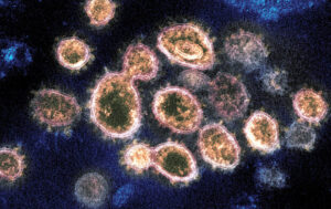 ウイルス菌の変異したオミクロン株が更に進化した感染菌の驚異