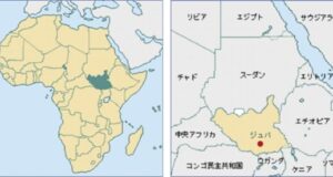 露によるウクライナへの侵攻でアフリカは食糧難に陥り住民に深刻な影響