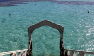 エジプトの東部にある紅海の海を泳いでいた女性がサメに襲われて死亡