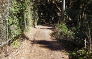 愛知県犬山市の林道で崖から落下しそうな車の車内から殺害された小学生の遺体