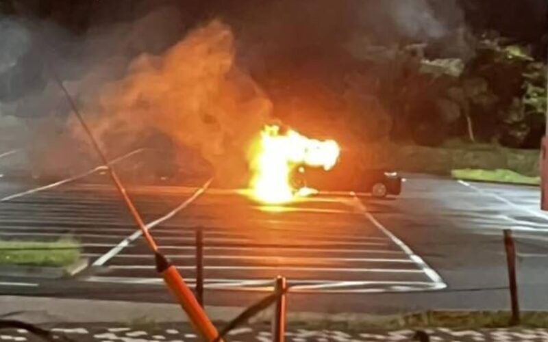 神奈川県横須賀市にある公園の駐車場で車が燃え車内から発見された3人の遺体