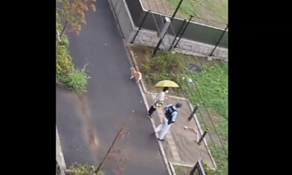 千葉県松戸市に住む7歳の女の子が公園に出かけ消息不明になったその後の進展