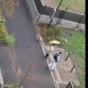 千葉県松戸市に住む7歳の女の子が公園に出かけ消息不明になったその後の進展