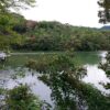 兵庫県加東市にある五所ケ池に祖母が育児に疲れ子供を連れて無理心中