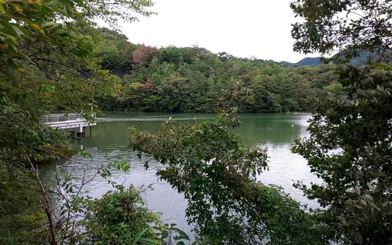 兵庫県加東市にある五所ケ池に祖母が育児に疲れ子供を連れて無理心中