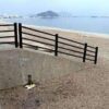 福岡市の海岸で男性が殺害された容疑者として特定された未成年の自殺志願者