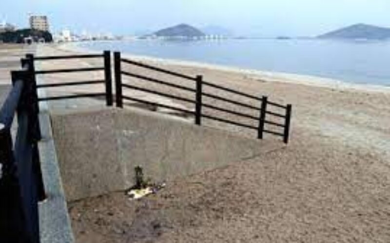 福岡市の海岸で男性が殺害された容疑者として特定された未成年の自殺志願者